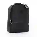 Morral Evan