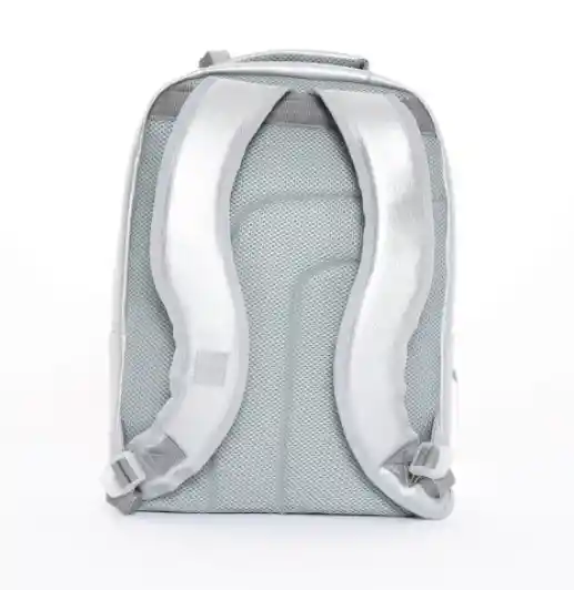 Morral Lys