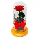 Rosa Inmortalizada Roja