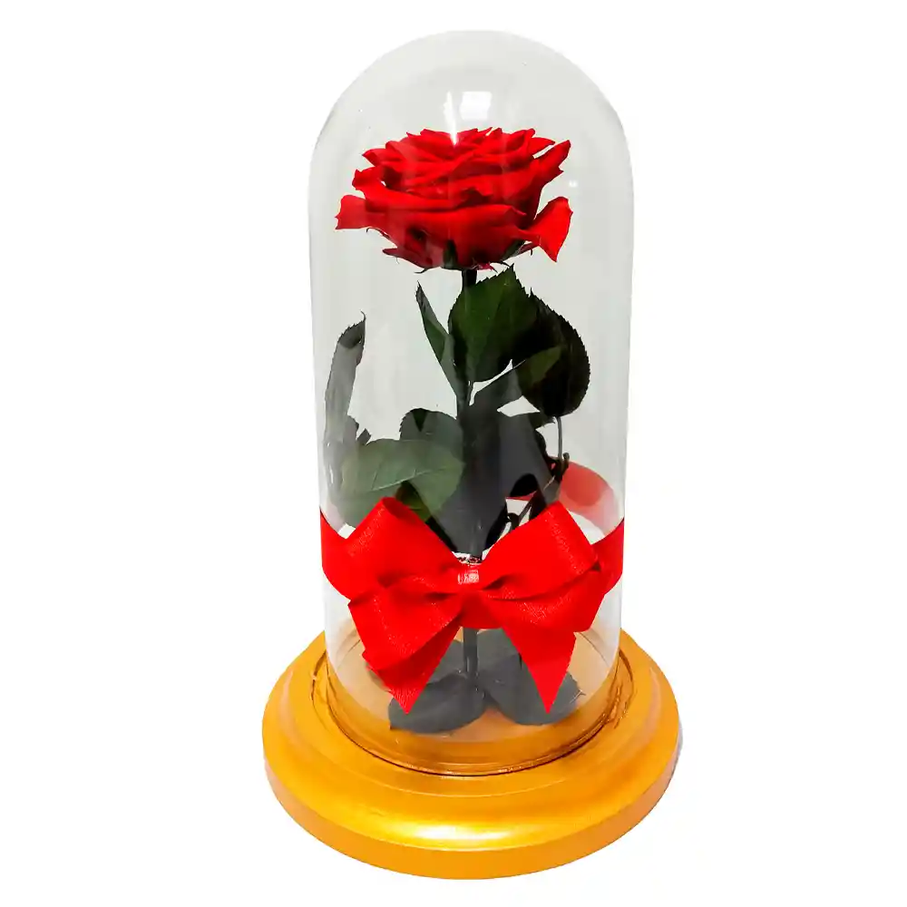 Rosa Inmortalizada Roja