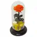 Rosa Inmortalizada Salmón