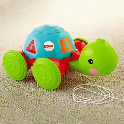 Fisher Price Tortuga De Aprendizaje Entrega Inmediata