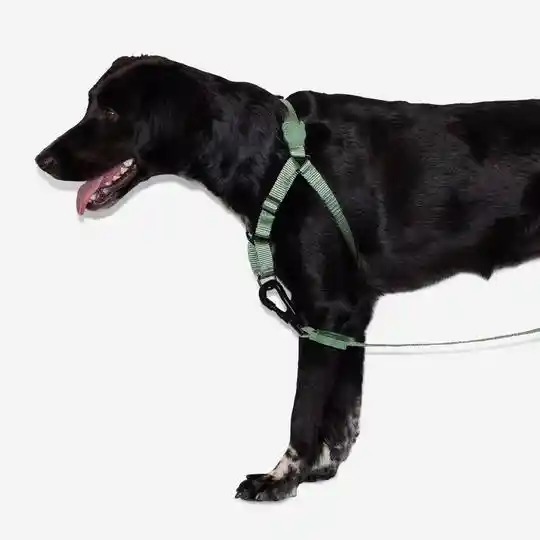 Zeedog Army Green Soft-Walk Harness Medium