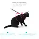 Zeecat Atlanta Harness + Leash Set