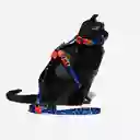 Zeecat Atlanta Harness + Leash Set