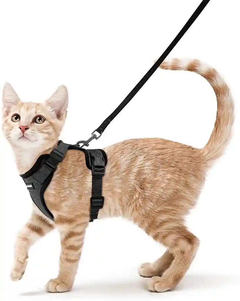 ARNÉS Y CORREA PARA GATOS A PRUEBA DE ESCAPE TALLA XS COLOR NEGRO