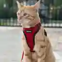 ARNÉS Y CORREA PARA GATO A PRUEBA DE ESCAPE TALLA S COLOR ROJO