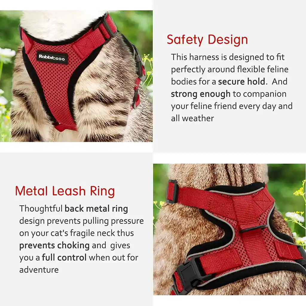 ARNÉS Y CORREA PARA GATO A PRUEBA DE ESCAPE TALLA S COLOR ROJO