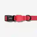 Zeedog Neon Coral Collar Medium