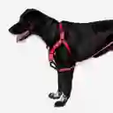 Zeedog Neon Coral Soft-Walk Harness Large