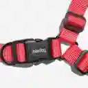 Zeedog Neon Coral Soft-Walk Harness Large