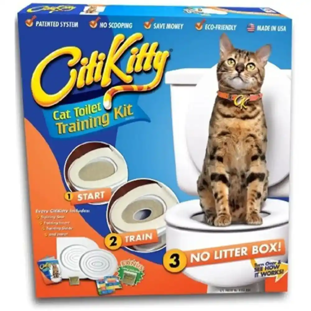 Citti Kitty El Kit De Entrenamiento Para Gato