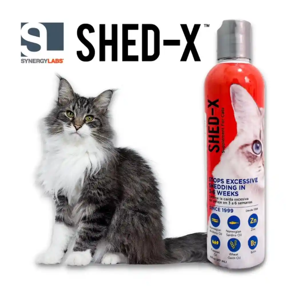 SHED - X CAT DERMAPLEX 8OZ