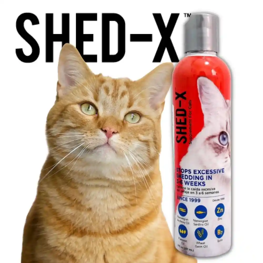 SHED - X CAT DERMAPLEX 8OZ