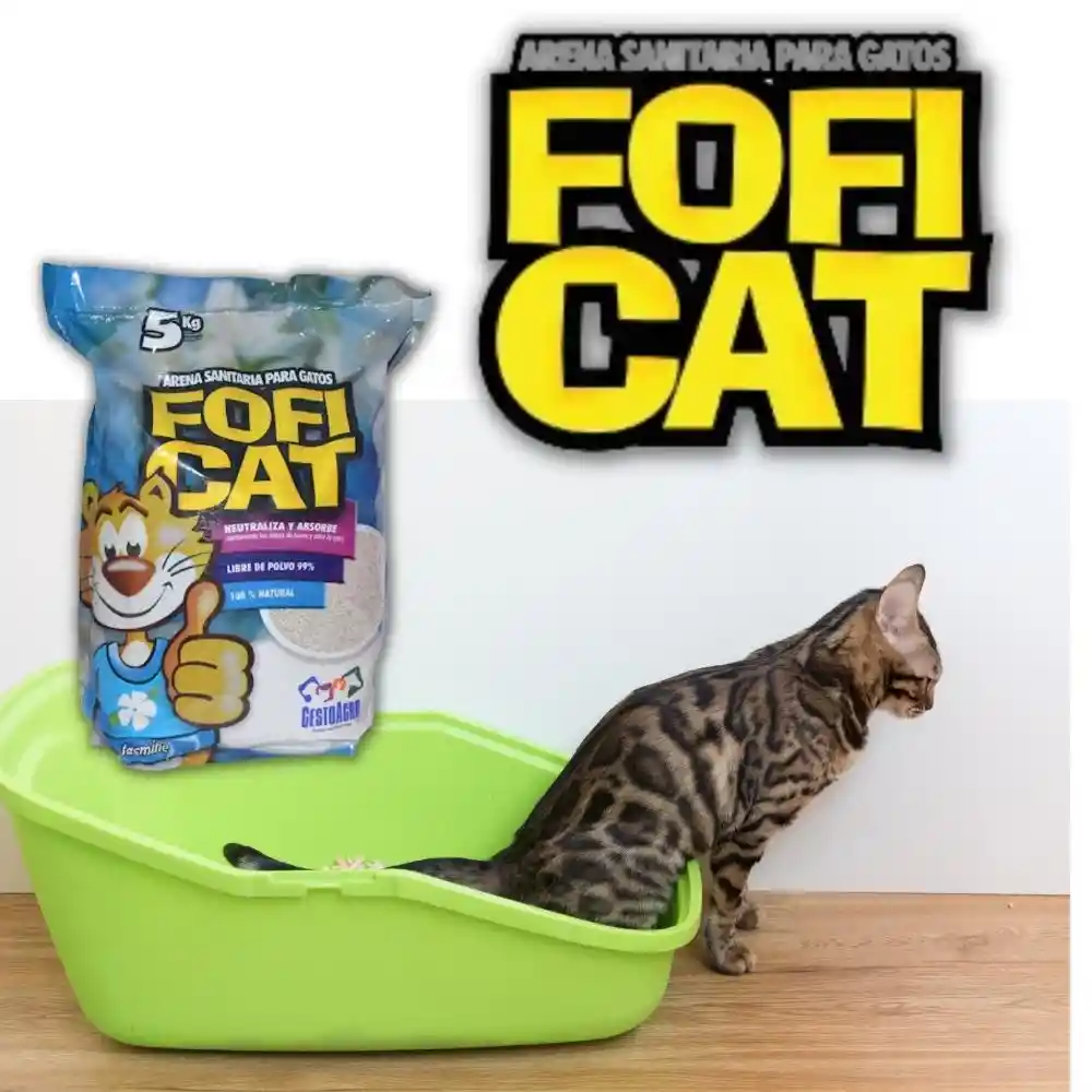 FOFICAT X 25 KLS