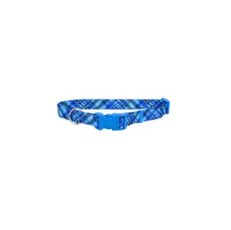 Collar Styles Azul Rayas / Huesos Large