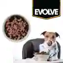 Evolve Classic Crafted Meals Salmon Recipe Dog Food