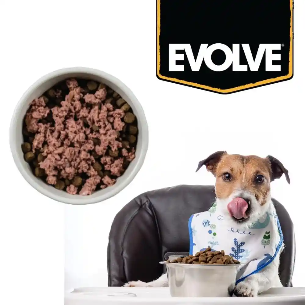 Evolve Classic Crafted Meals Salmon Recipe Dog Food