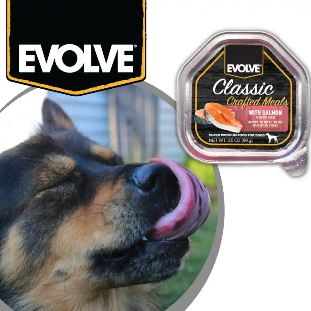 Evolve Classic Crafted Meals Salmon Recipe Dog Food