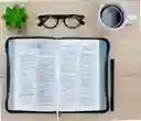 Biblia Cristiana Reina Valera 1960 Letra Grande - Gris