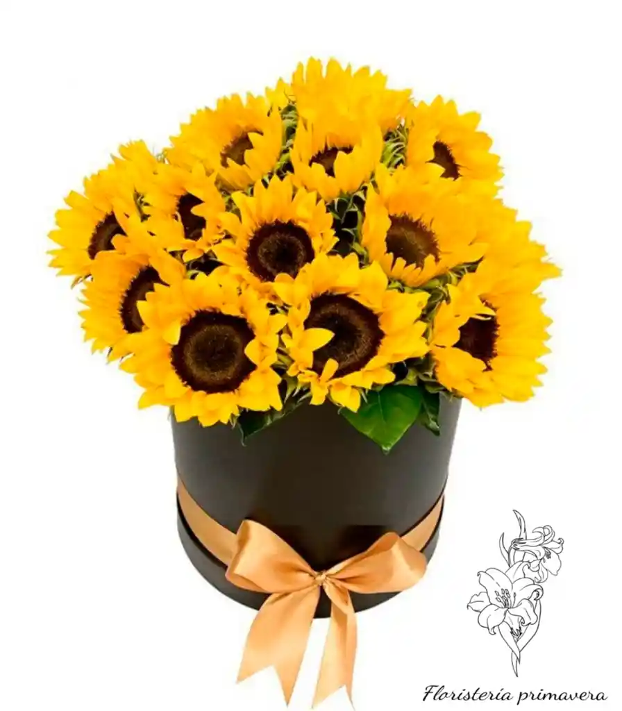 girasoles en caja de regalo