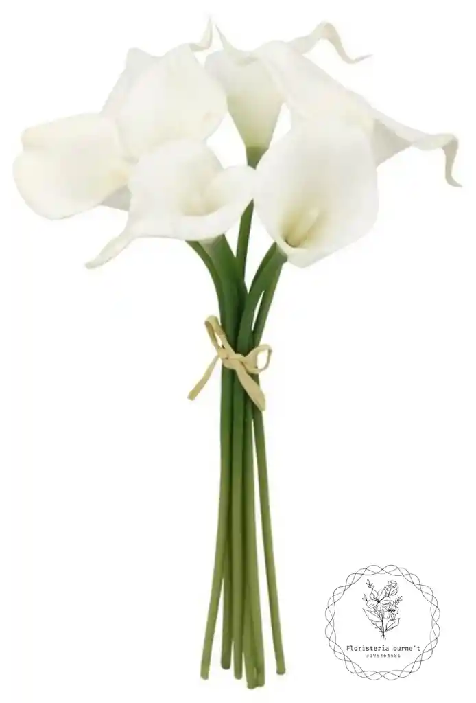 cartuchos para tu hogar x6