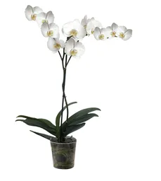 Orquidea Blanca 1 Tallo Sin Matera Decorativa