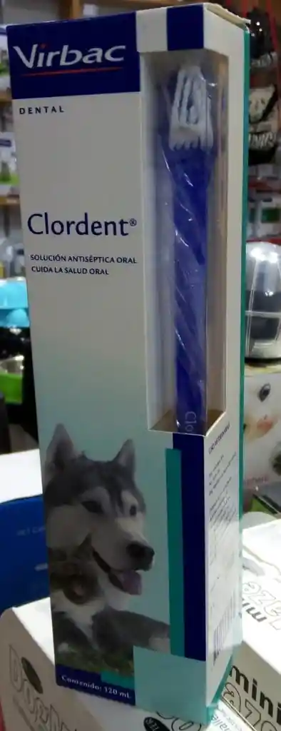 Clordent Oral