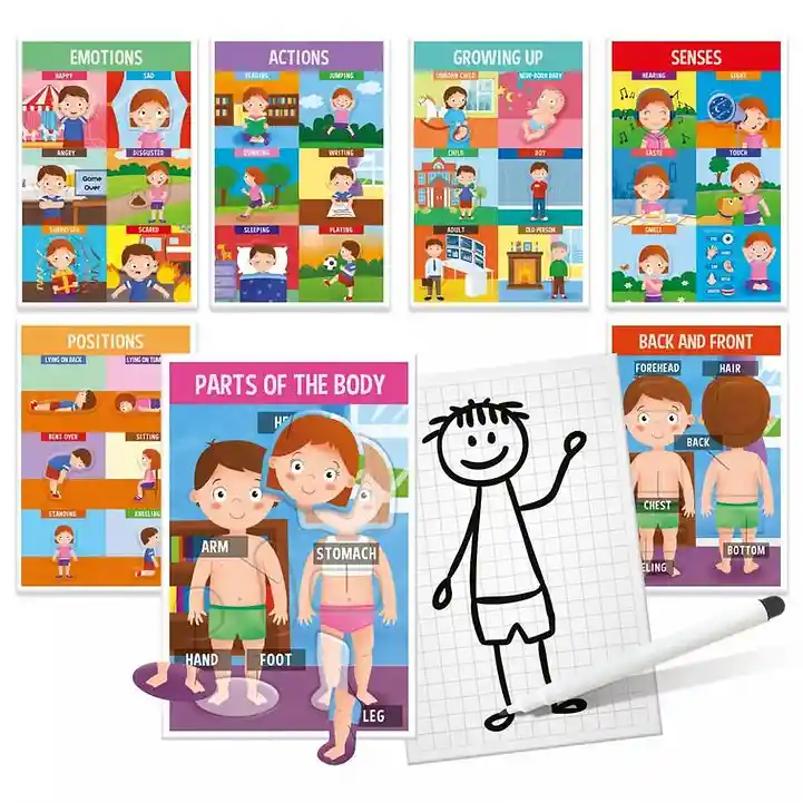 Juego Aprende Cuerpo Humano Montessori