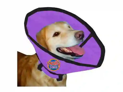 Collar Isabelino Talla L Morado