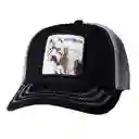 Gorra Animales Beisbol Cachucha Hombre Mujer Bros Malla Cap