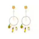 Aretes Tejidos Con Frutas Palma Iraca