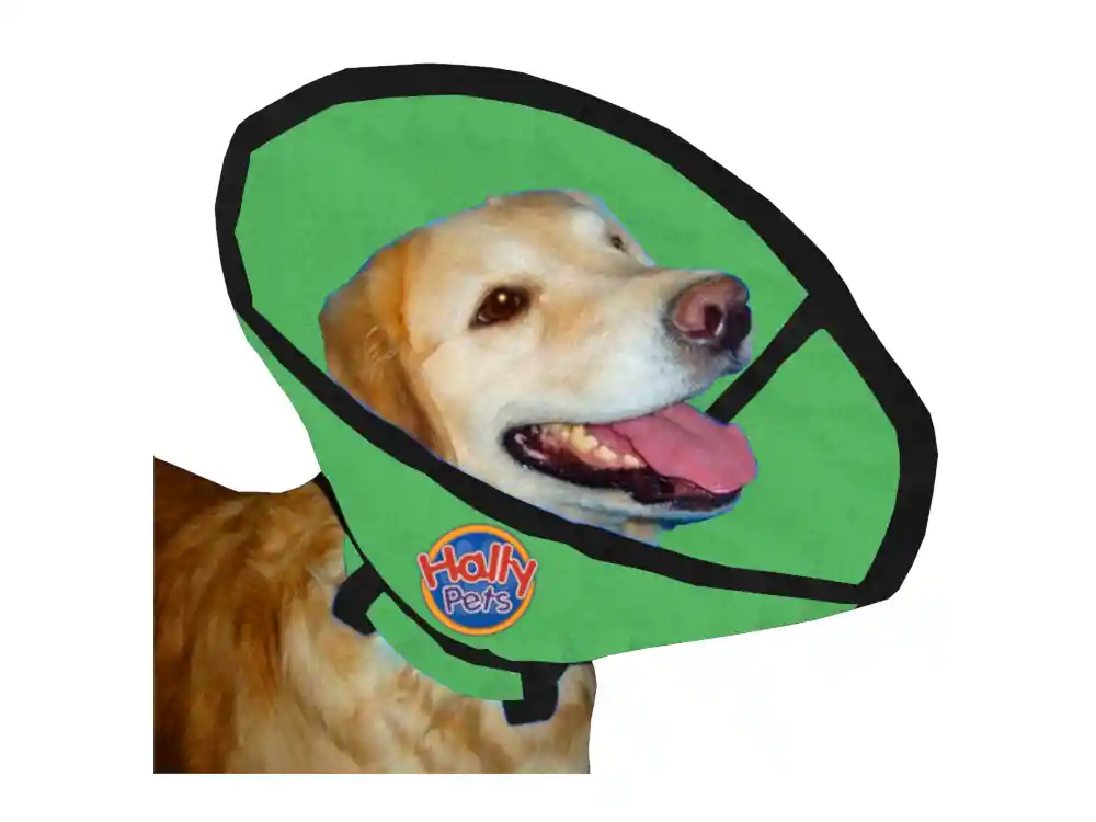 Collar Isabelino Talla S Verde
