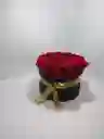 Barril De 12 Rosas Rojas