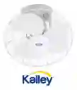 Kalley Ventilador Techo/Orbital 16” Gira 360° Beige K-Vorb16