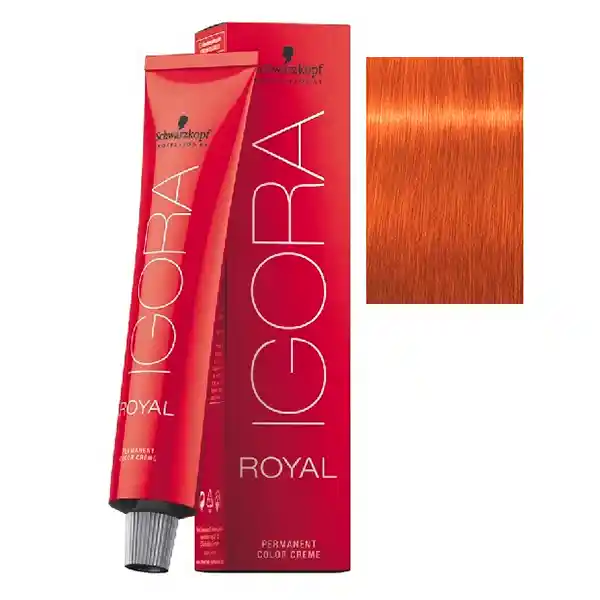 Igora Royal Tinte Rubio Claro Cobrizo Intenso N.8.77 X 60ml