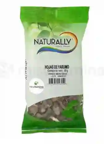 Hojas De Yarumo Naturally