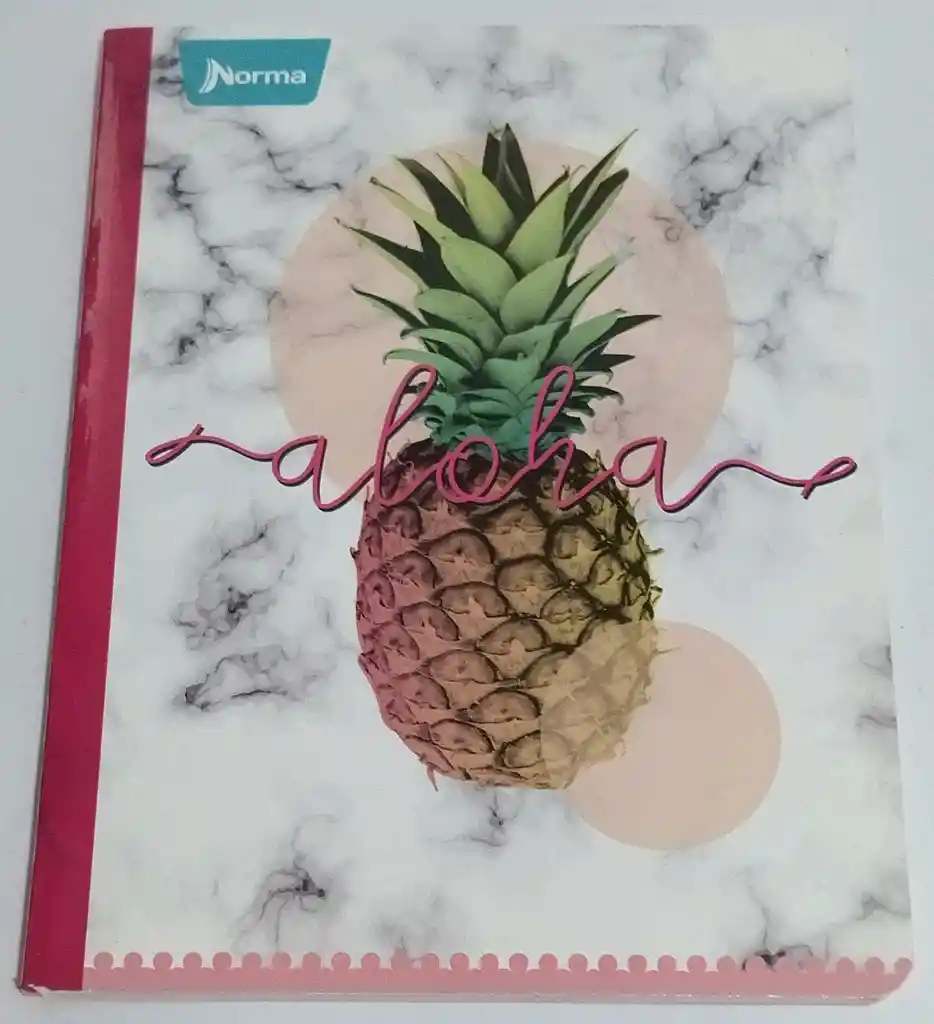 Cuaderno Cosido 100 H