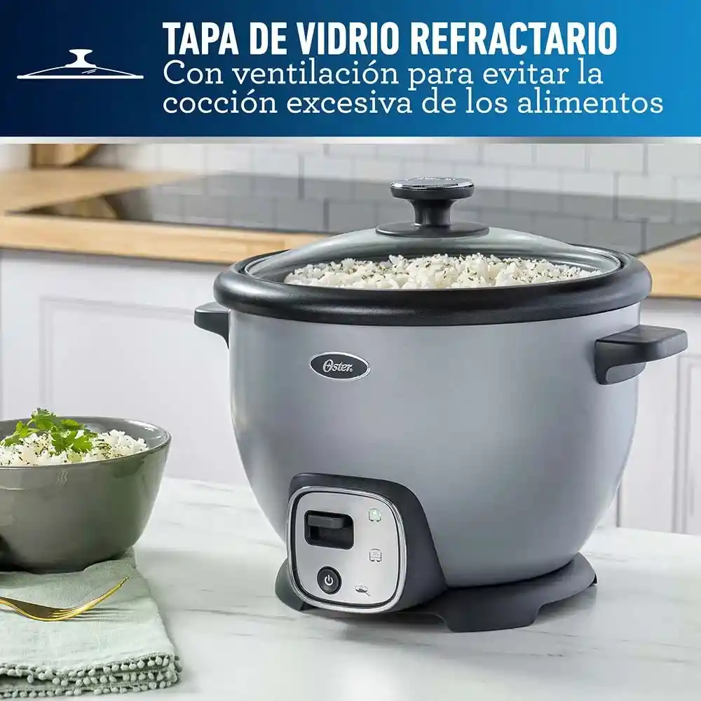 Oster Arrocera Multiusos10 Tazas Con Funcion Sofrito Ckstrc8029S