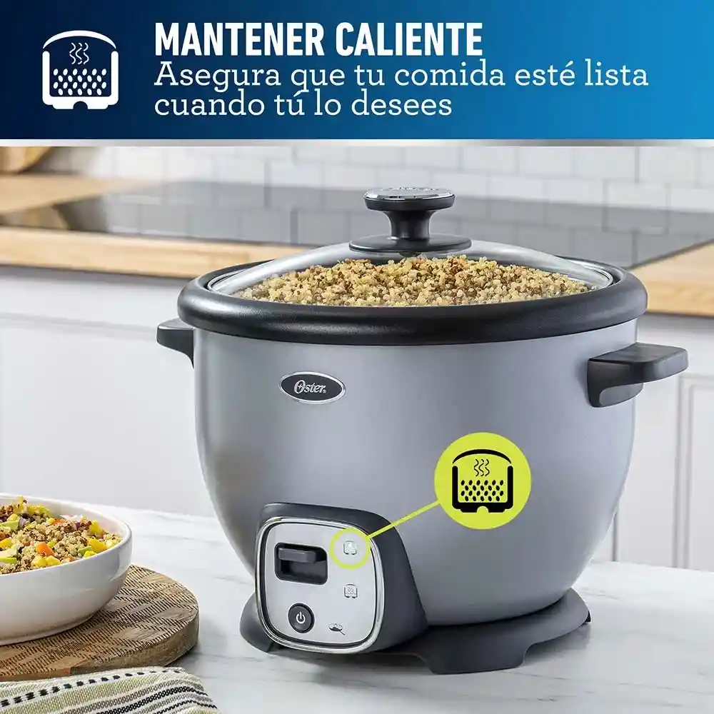 Oster Arrocera Multiusos10 Tazas Con Funcion Sofrito Ckstrc8029S