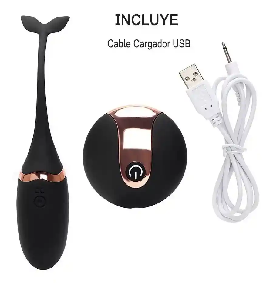 Huevo Vibrador Con Control Remoto Inalambrico Usb Recargable