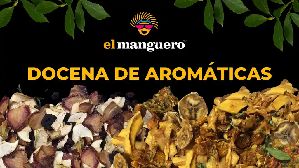 Aroma Docena De Ticas Surtidas