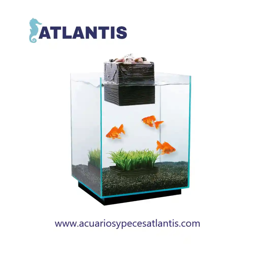 Acuario Para Peces De 80 Litros Atlantis