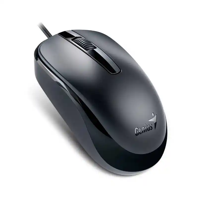 Genius Mouse Dx-120 Calm Black
