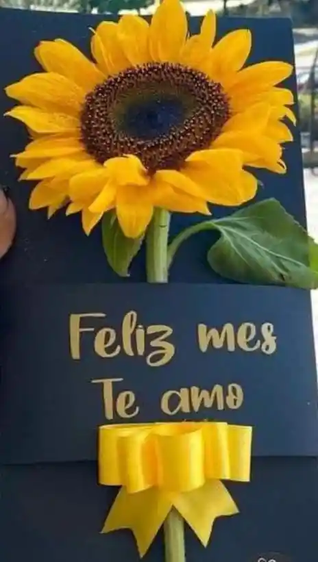 Bouquet Con Girasol Para El Dia De Las Flores Amarillas Cumpleaños O Aniversario O Feliz Día