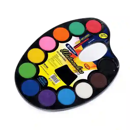 Pintura Acuarela Escolar En Forma De Paleta X 12 Colores