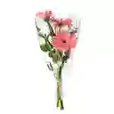Flores De Gerberas Rosadas En Ramo