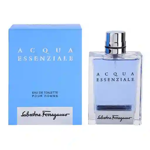 Ferragamo Salvatore Acqua Essenziale For Men Edt 100Ml
