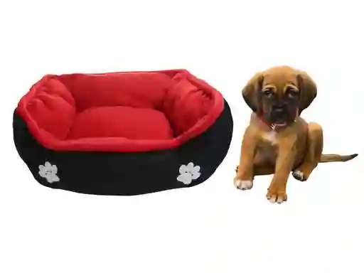 Cama Mediana Doble Faz Rojo