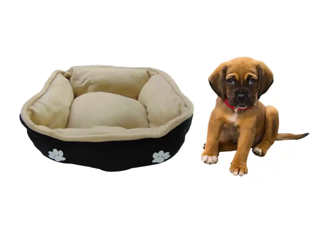 HallyPet Cama Grande Doble Faz Beige